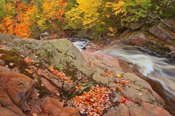 Canada-Nova Scotia Mary-Anne Falls and forest in autumn foliage